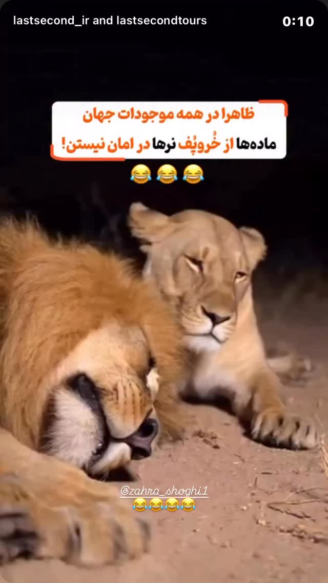  جدید ترین استوری اینستاگرام امیر رضایی