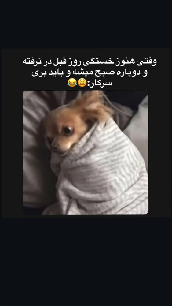  جدید ترین استوری اینستاگرام امیرشعبانی