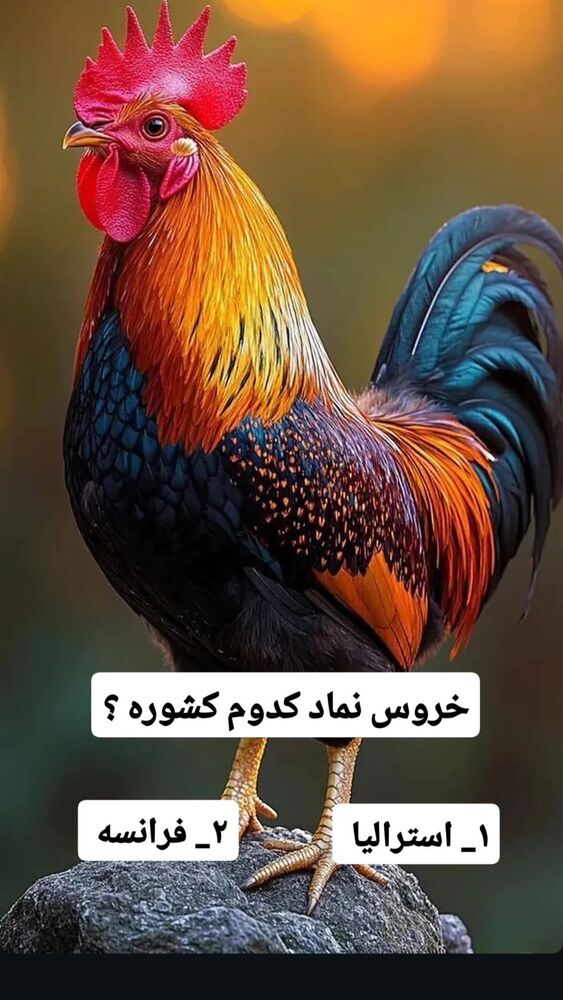  جدید ترین استوری اینستاگرام امیرشعبانی