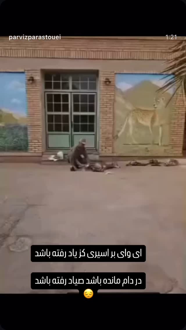 جدید ترین استوری اینستاگرام امیر سهیلی