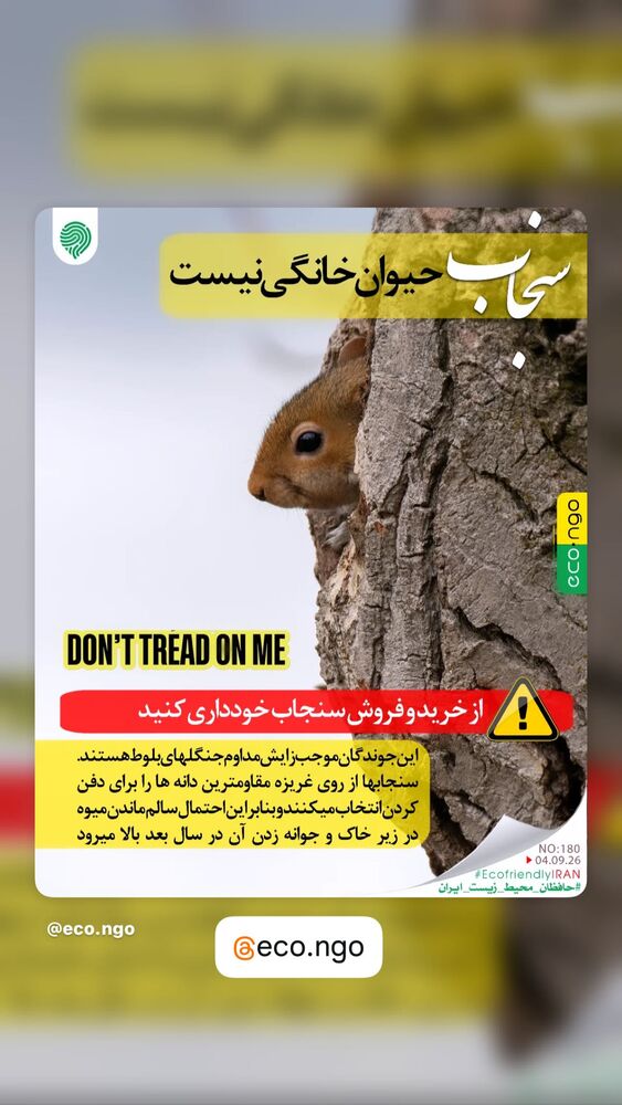  جدید ترین استوری اینستاگرام علی فروتن