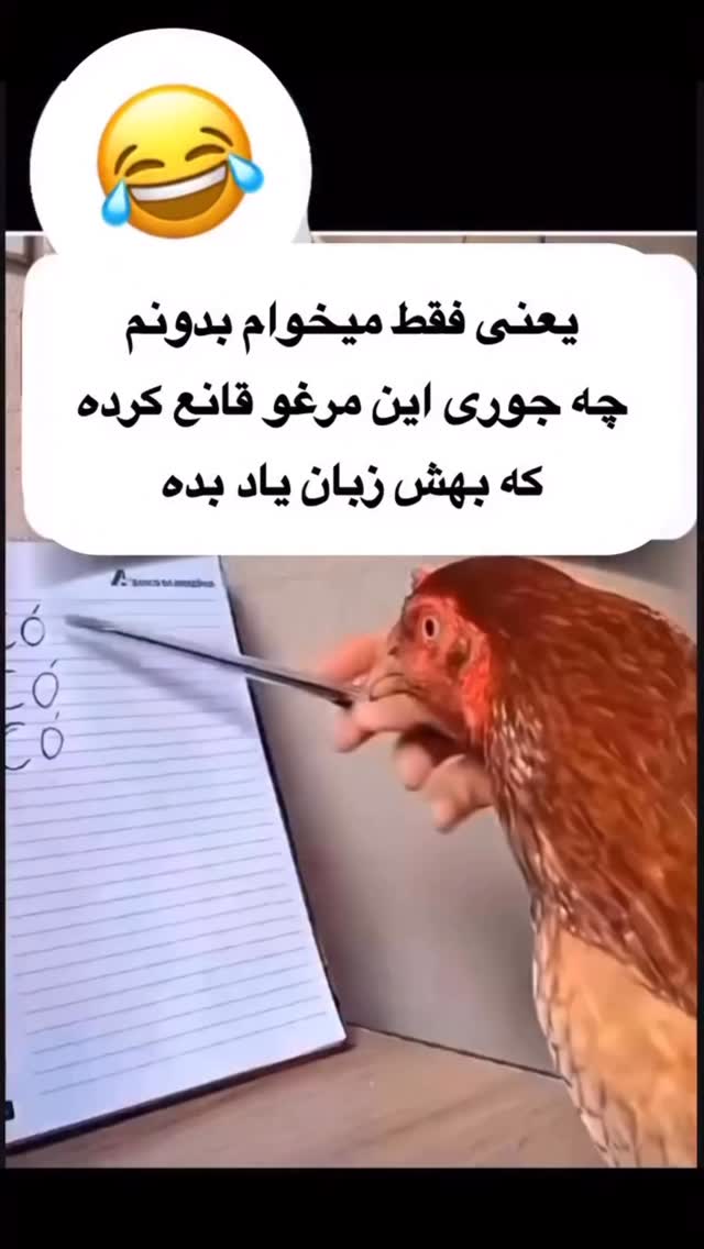  جدید ترین استوری اینستاگرام عنبوسازان