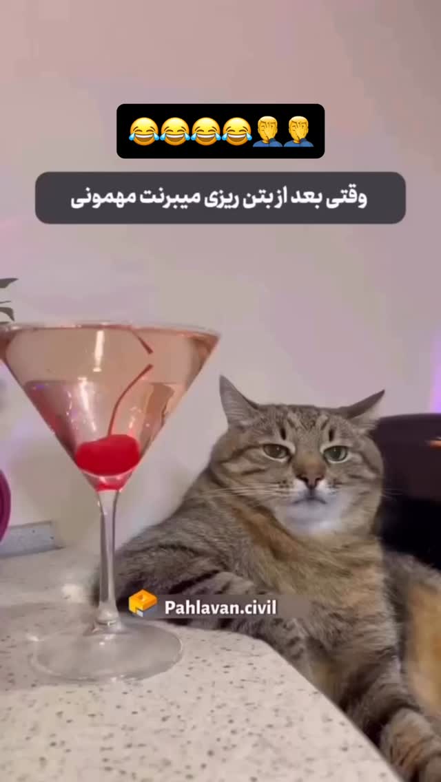  جدید ترین استوری اینستاگرام عنبوسازان