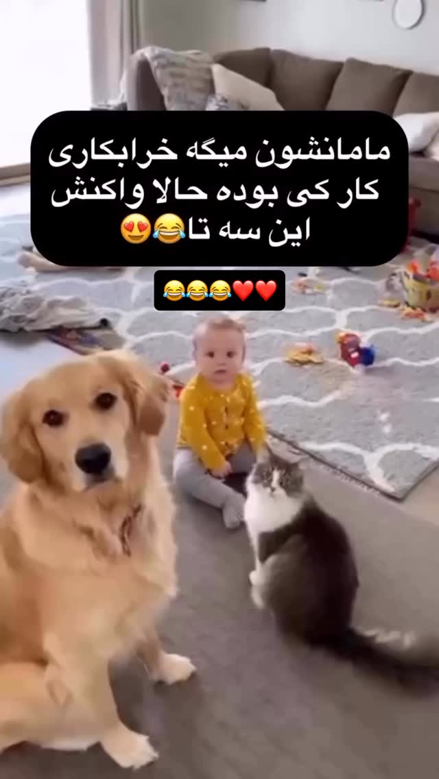  جدید ترین استوری اینستاگرام عنبوسازان