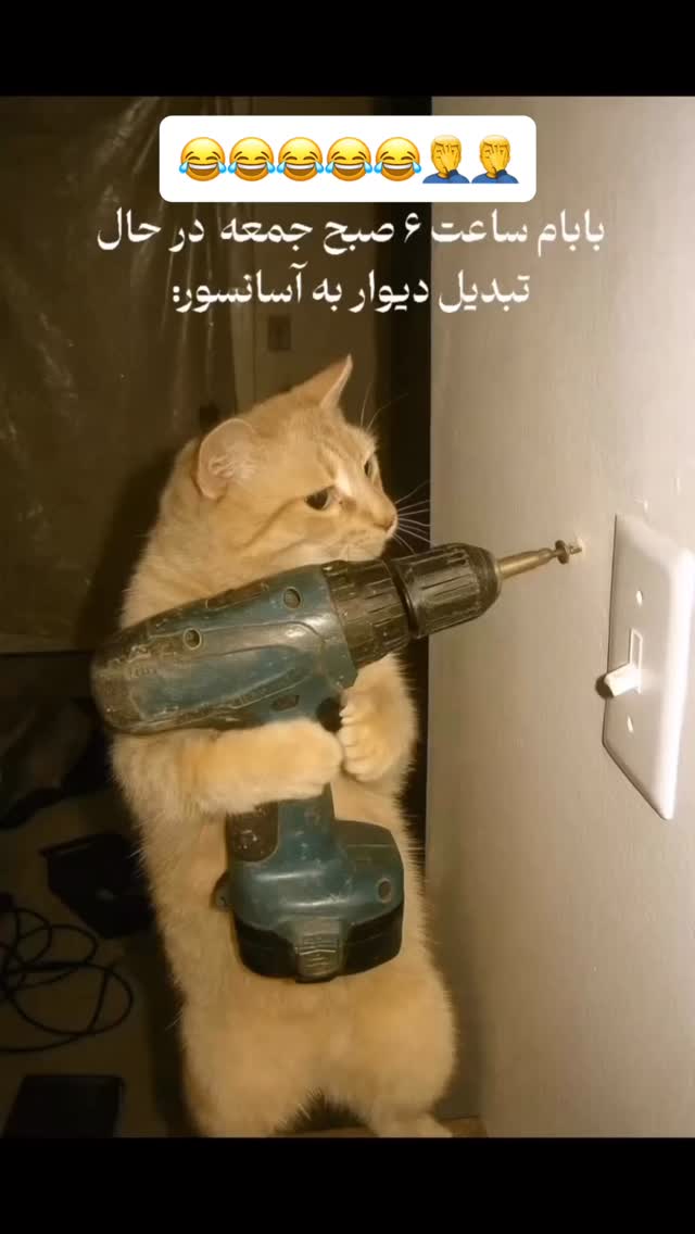  جدید ترین استوری اینستاگرام عنبوسازان