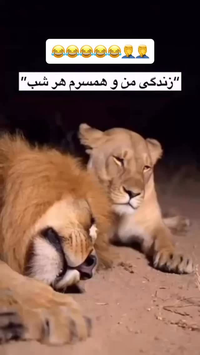  جدید ترین استوری اینستاگرام عنبوسازان