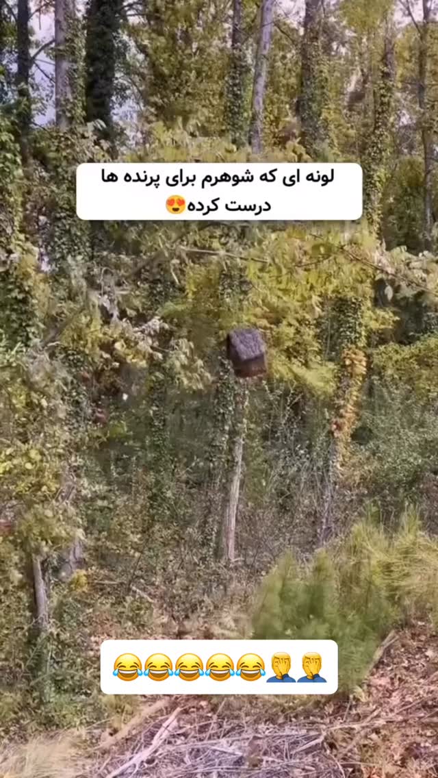  جدید ترین استوری اینستاگرام عنبوسازان