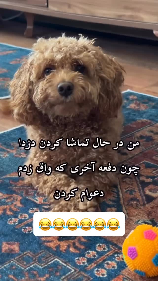  جدید ترین استوری اینستاگرام عنبوسازان