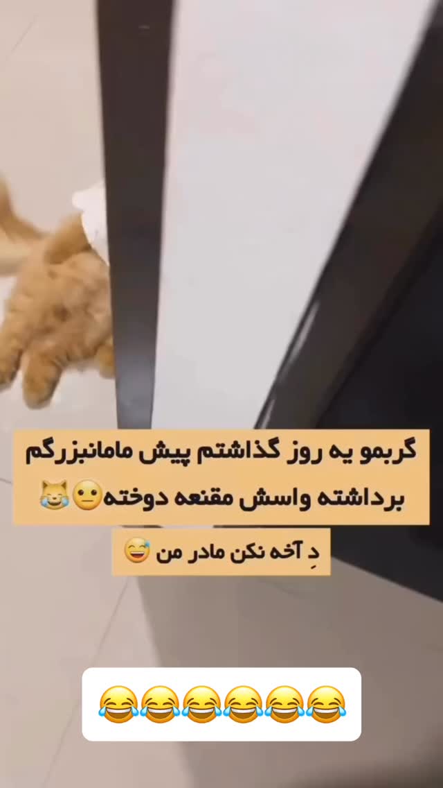 جدید ترین استوری اینستاگرام عنبوسازان