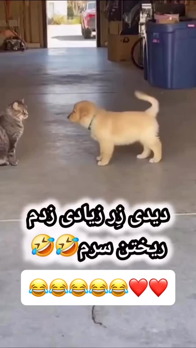  جدید ترین استوری اینستاگرام عنبوسازان
