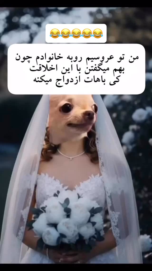  جدید ترین استوری اینستاگرام عنبوسازان