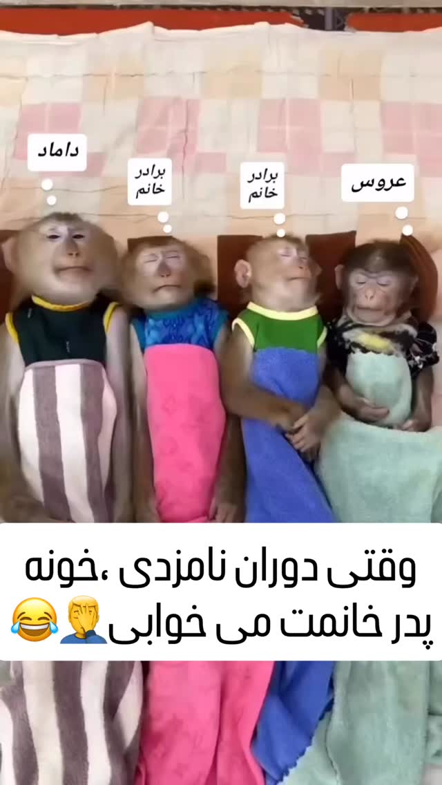 جدید ترین استوری اینستاگرام عنبوسازان