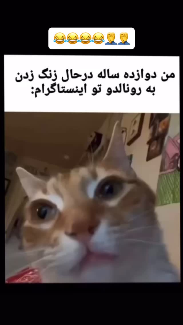 جدید ترین استوری اینستاگرام عنبوسازان