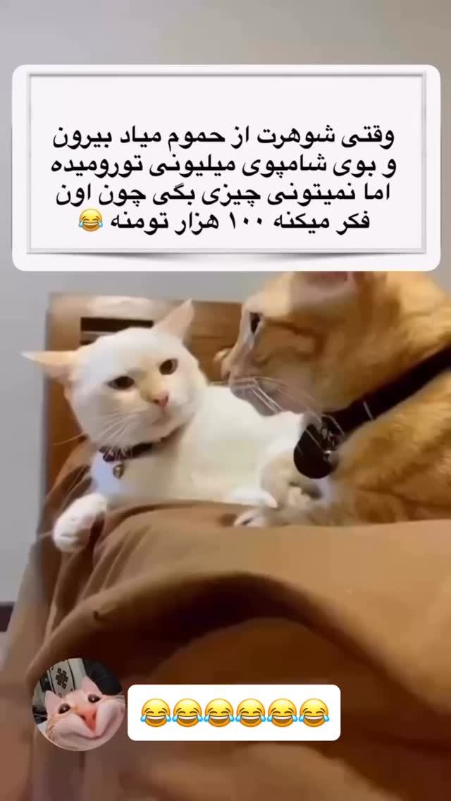  جدید ترین استوری اینستاگرام عنبوسازان