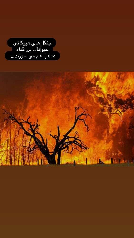  جدید ترین استوری اینستاگرام آناهیتا درگاهی