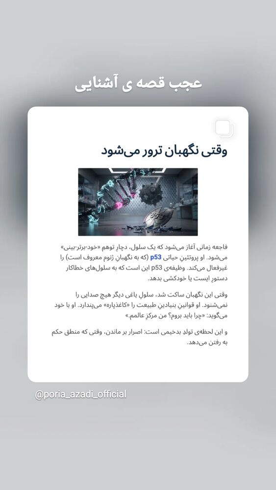  جدید ترین استوری اینستاگرام آرام چراغی
