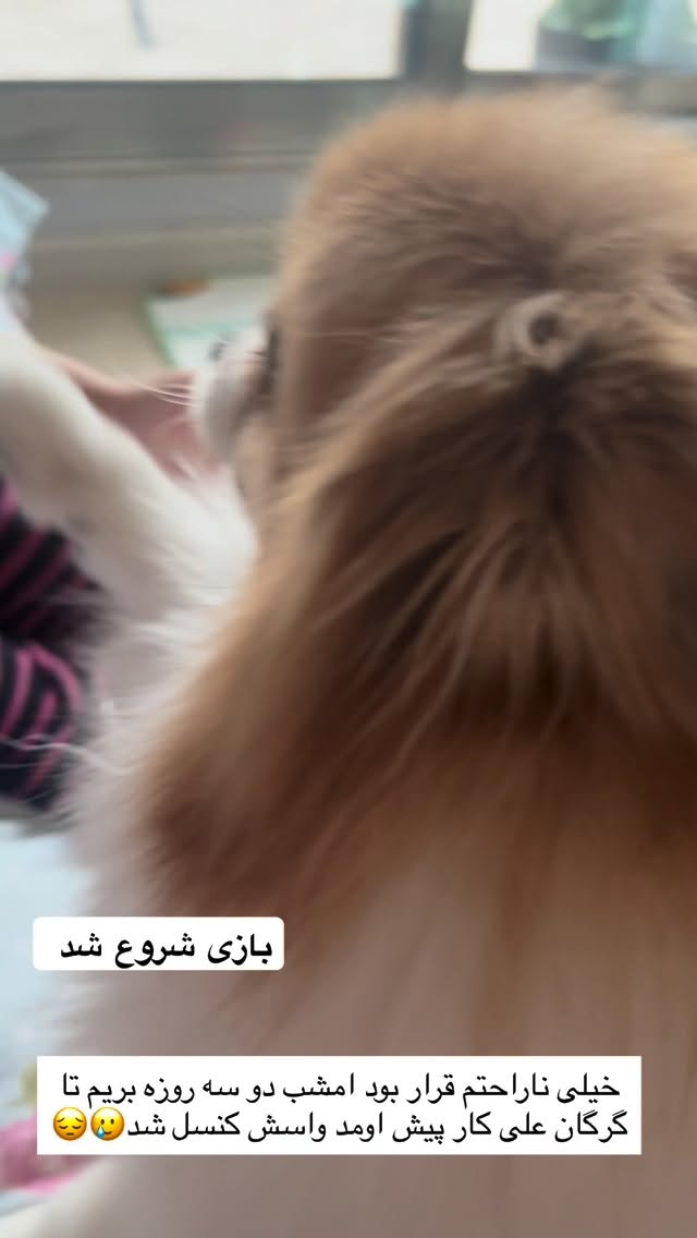  جدید ترین استوری اینستاگرام آرام