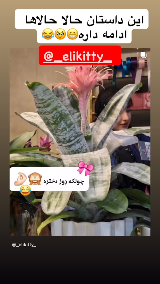  جدید ترین استوری اینستاگرام آرام