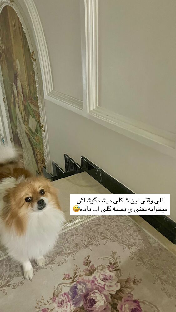  جدید ترین استوری اینستاگرام آرام