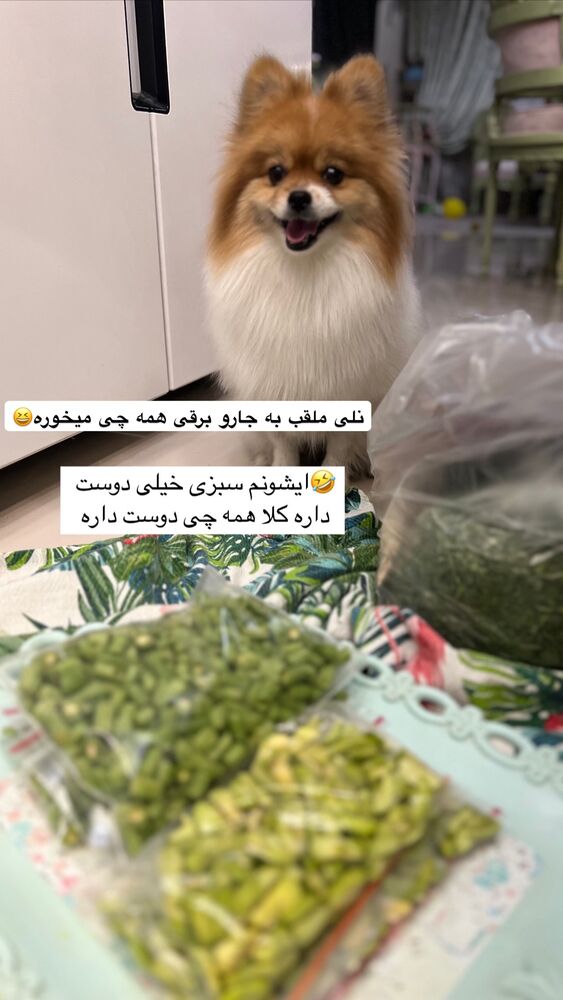  جدید ترین استوری اینستاگرام آرام