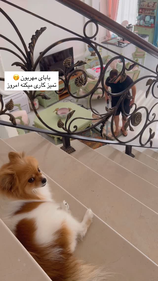  جدید ترین استوری اینستاگرام آرام