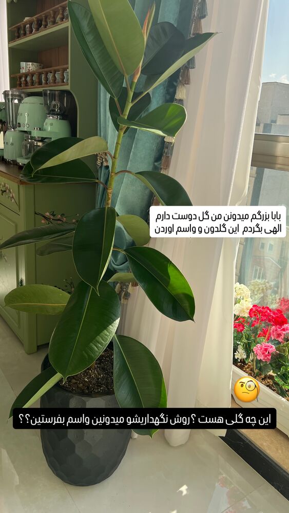  جدید ترین استوری اینستاگرام آرام