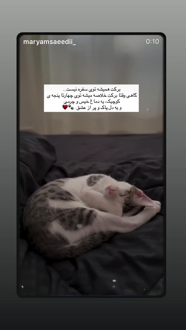  جدید ترین استوری اینستاگرام آرام جعفری
