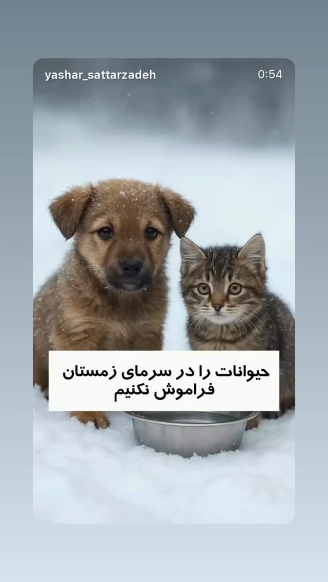  جدید ترین استوری اینستاگرام آرام جعفری
