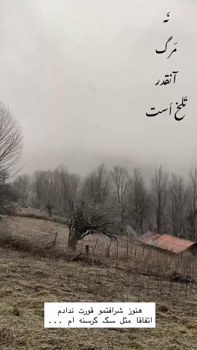  جدید ترین استوری اینستاگرام آرش جهانگرد
