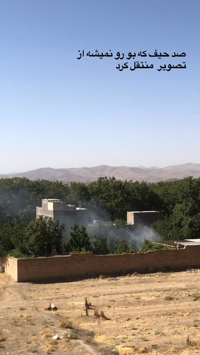  جدید ترین استوری اینستاگرام آرش عباسی