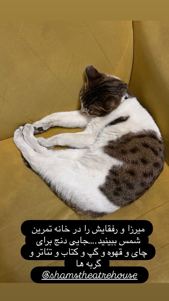  جدید ترین استوری اینستاگرام آرش عباسی