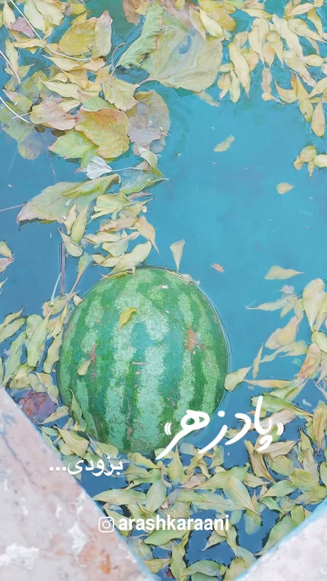  جدید ترین استوری اینستاگرام آرش کرانی
