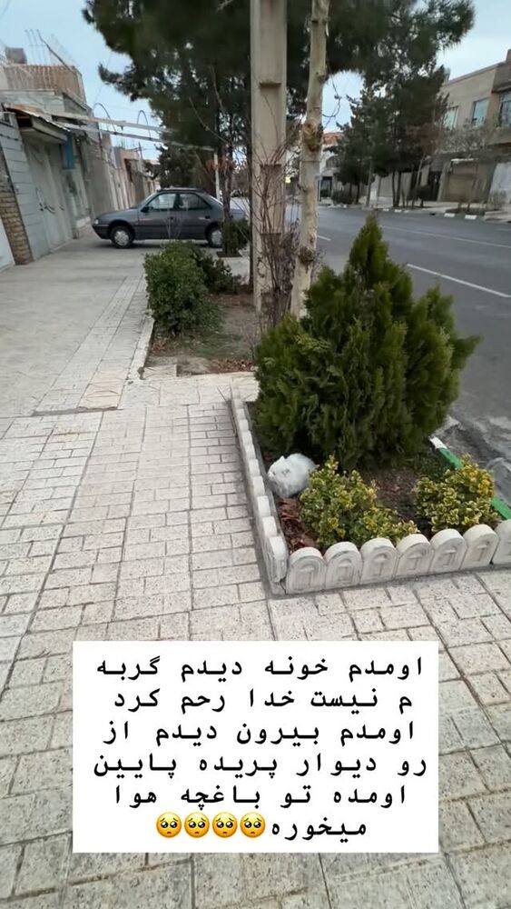  جدید ترین استوری اینستاگرام آرش کرانی