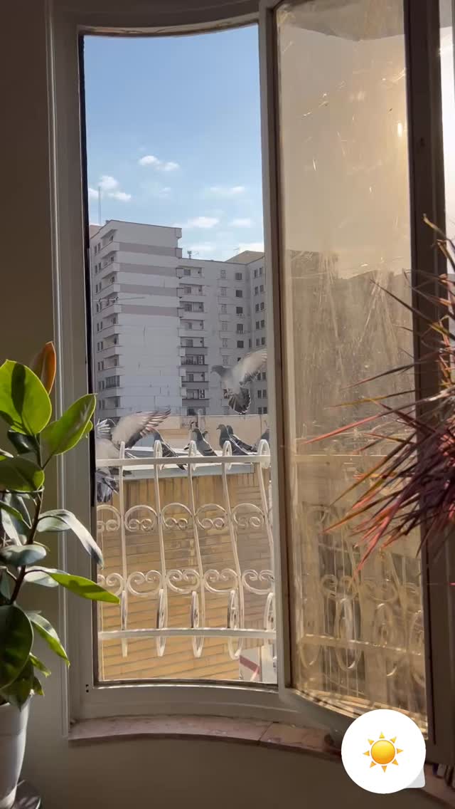  جدید ترین استوری اینستاگرام آرش ظلی پور