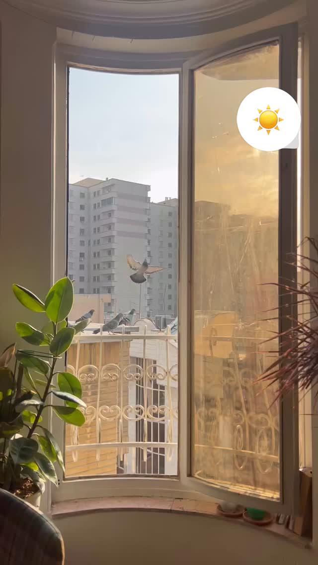 جدید ترین استوری اینستاگرام آرش ظلی پور