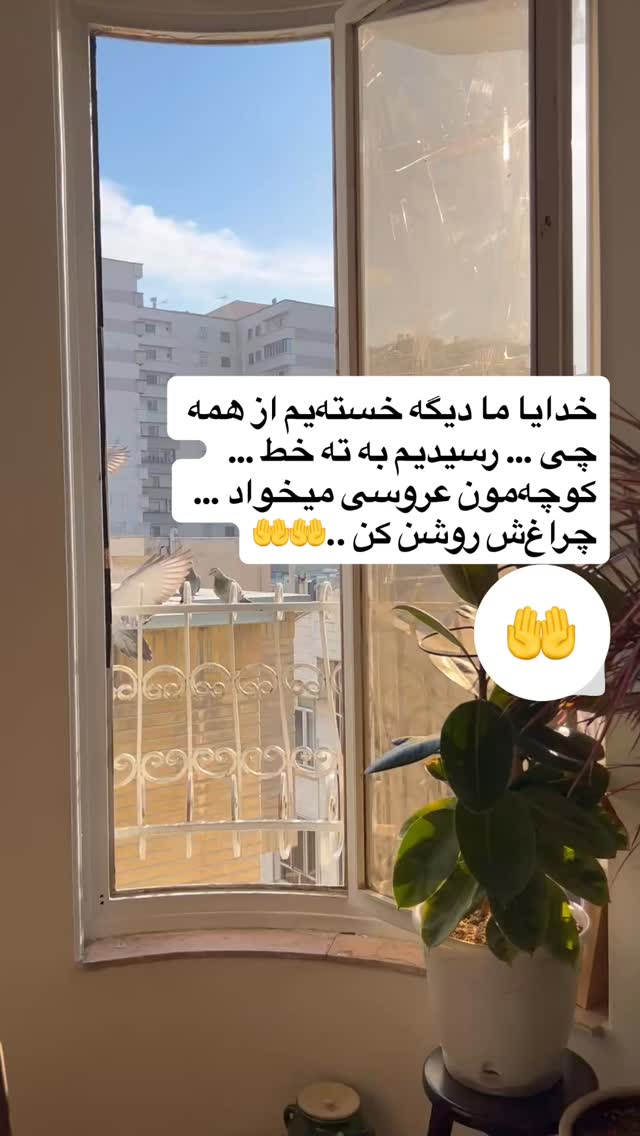  جدید ترین استوری اینستاگرام آرش ظلی پور