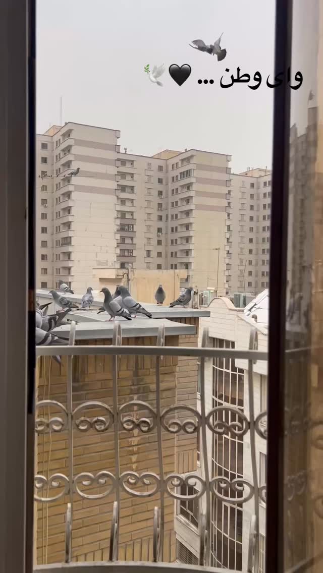  جدید ترین استوری اینستاگرام آرش ظلی پور