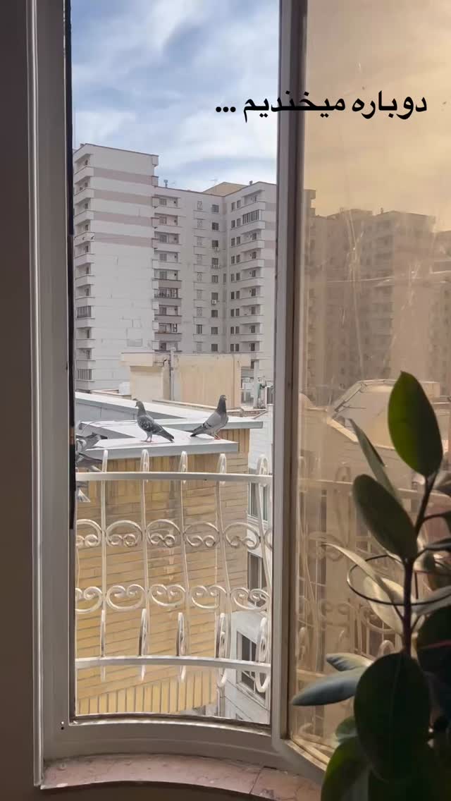  جدید ترین استوری اینستاگرام آرش ظلی پور