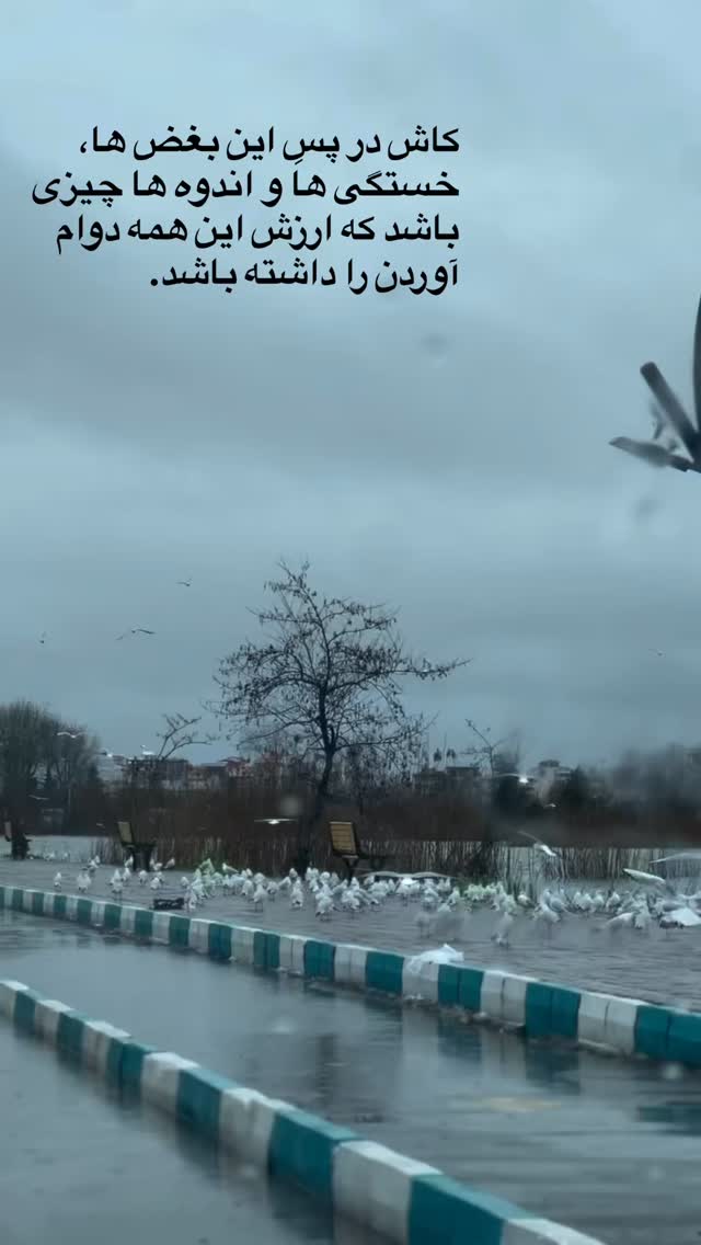  جدید ترین استوری اینستاگرام آرش ظلی پور