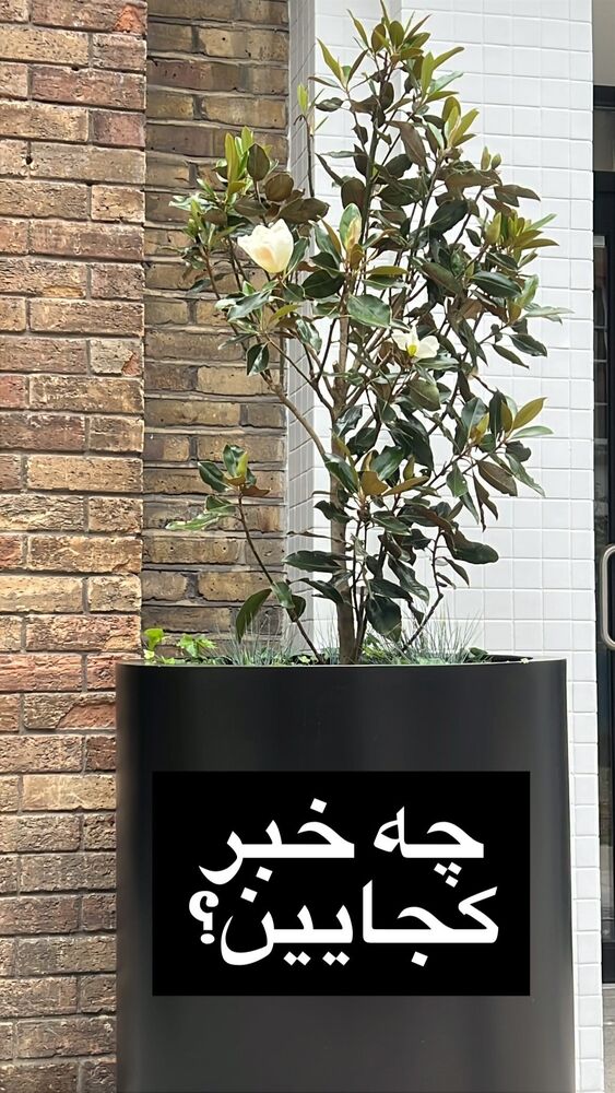  جدید ترین استوری اینستاگرام اردلان فروتنی