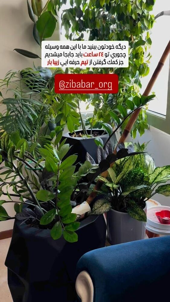  جدید ترین استوری اینستاگرام آرزو ملكوتي راد