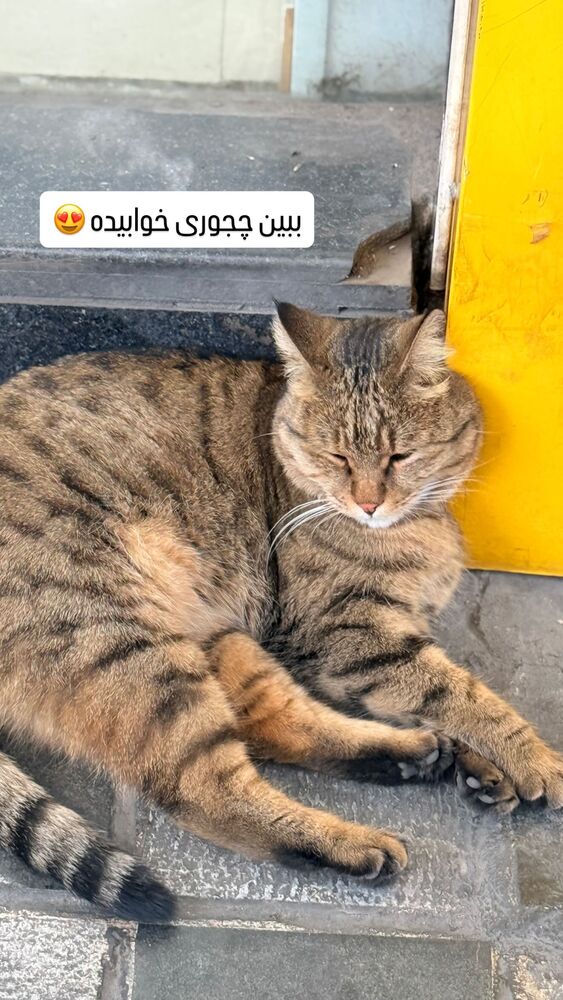  جدید ترین استوری اینستاگرام آرزو ملكوتي راد