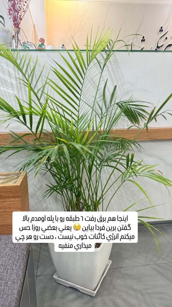  جدید ترین استوری اینستاگرام آرزو ملكوتي راد
