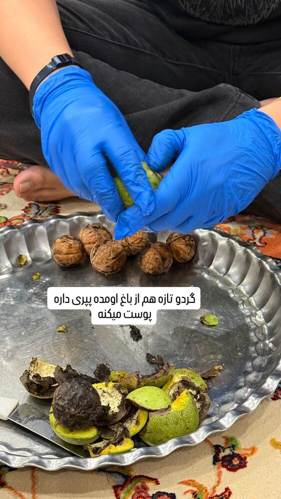  جدید ترین استوری اینستاگرام آرزو ملكوتي راد