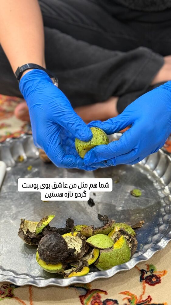  جدید ترین استوری اینستاگرام آرزو ملكوتي راد