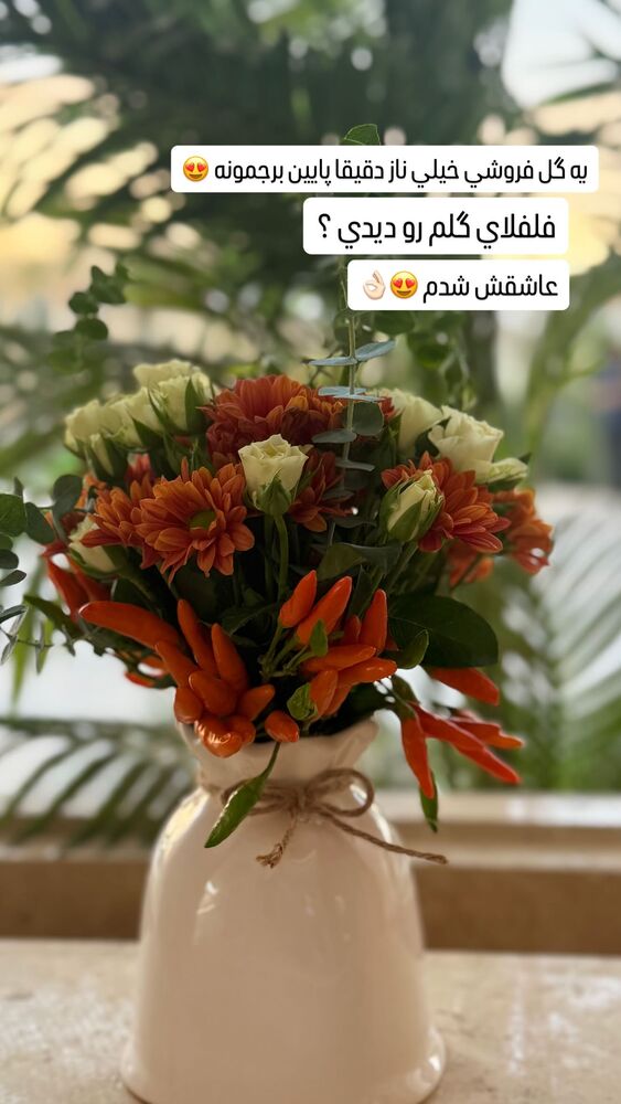  جدید ترین استوری اینستاگرام آرزو ملكوتي راد