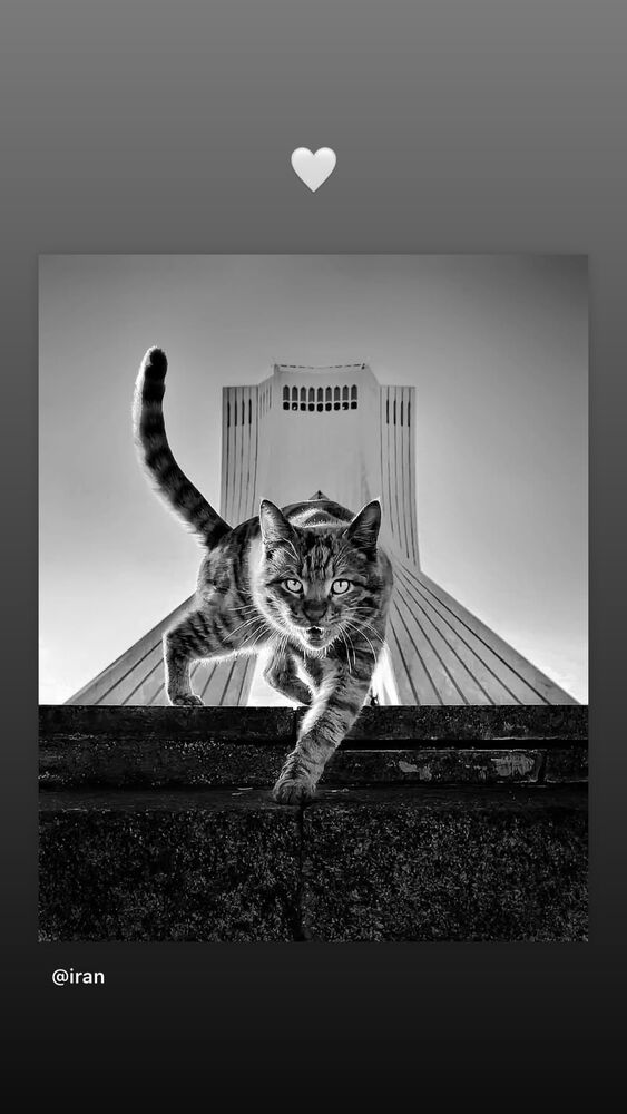  جدید ترین استوری اینستاگرام آریا یوسفی