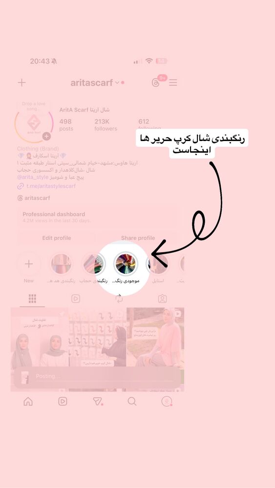  جدید ترین استوری اینستاگرام شال آریتا