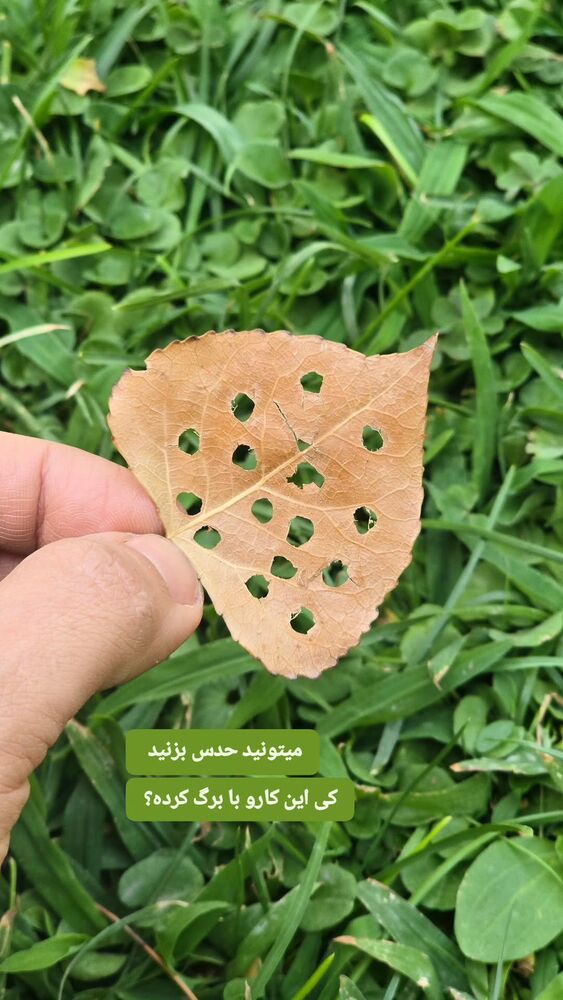  جدید ترین استوری اینستاگرام فاطمه عبادی