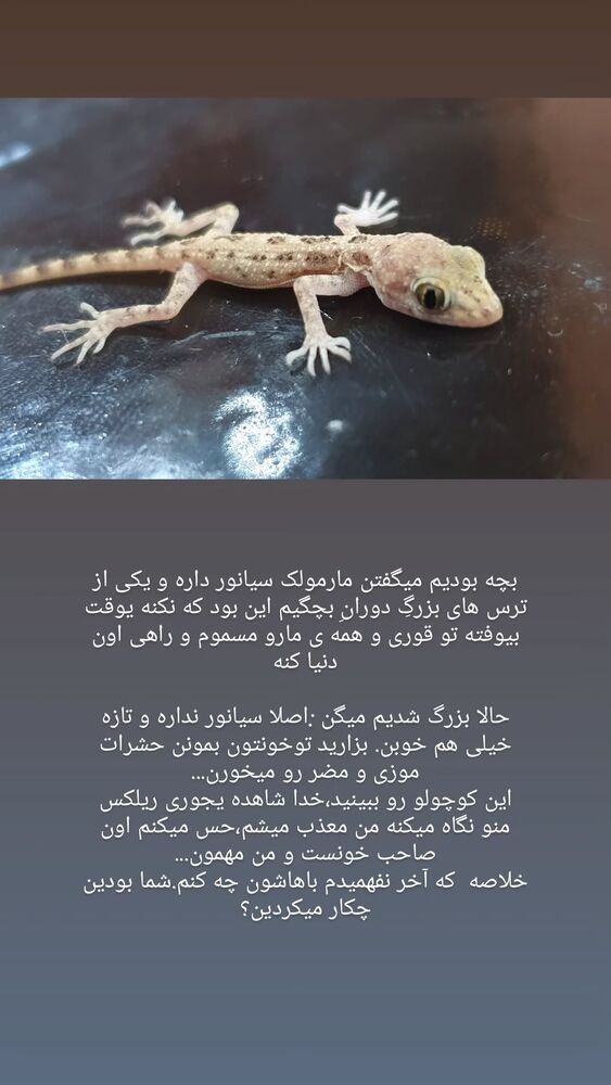  جدید ترین استوری اینستاگرام فاطمه عبادی